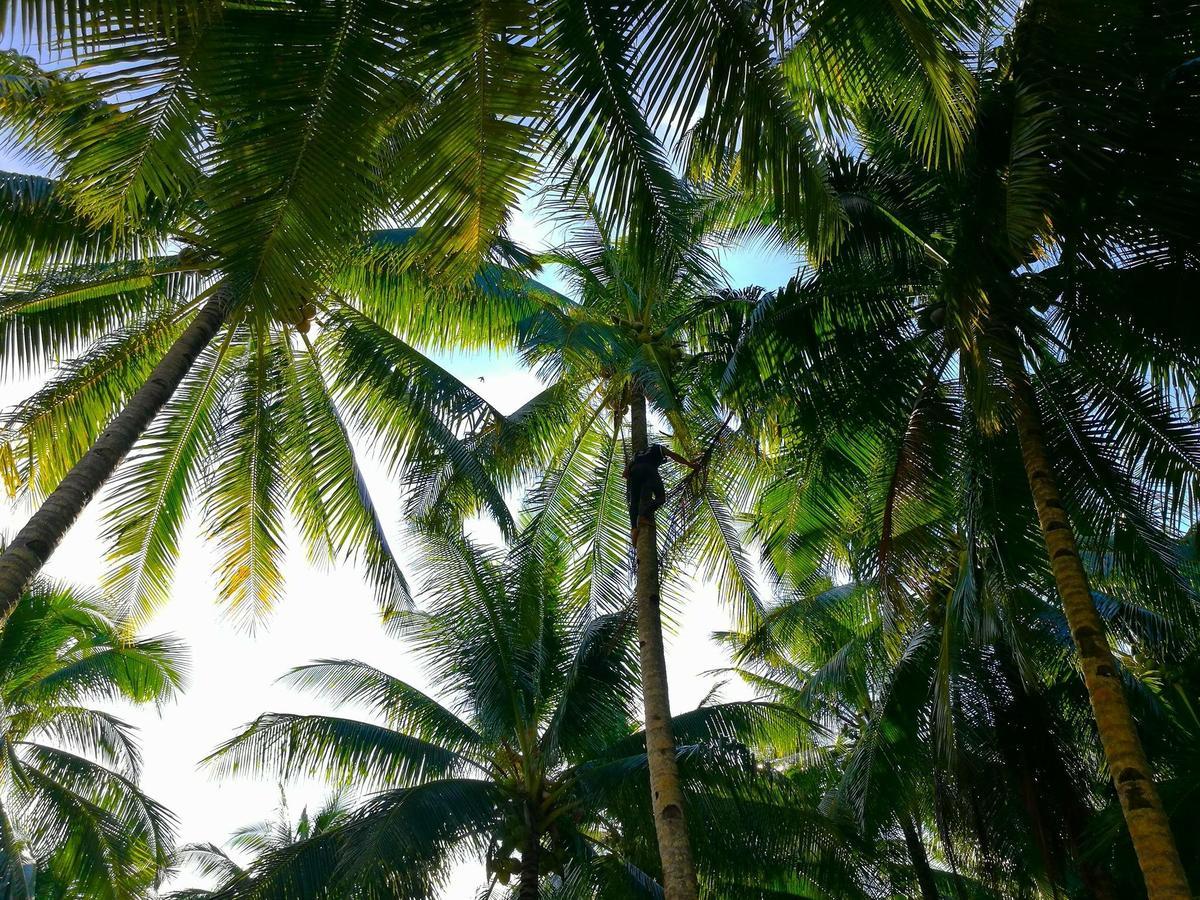 Siargao Residency Union (Surigao del Norte) Exterior foto
